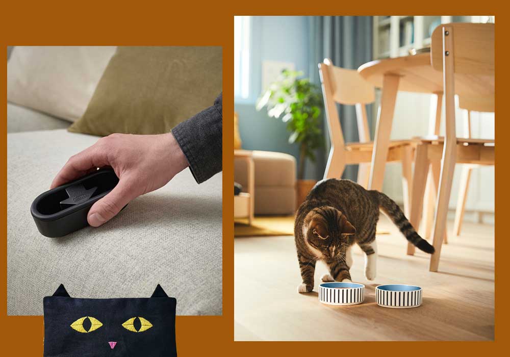 پرزگیرایکیا