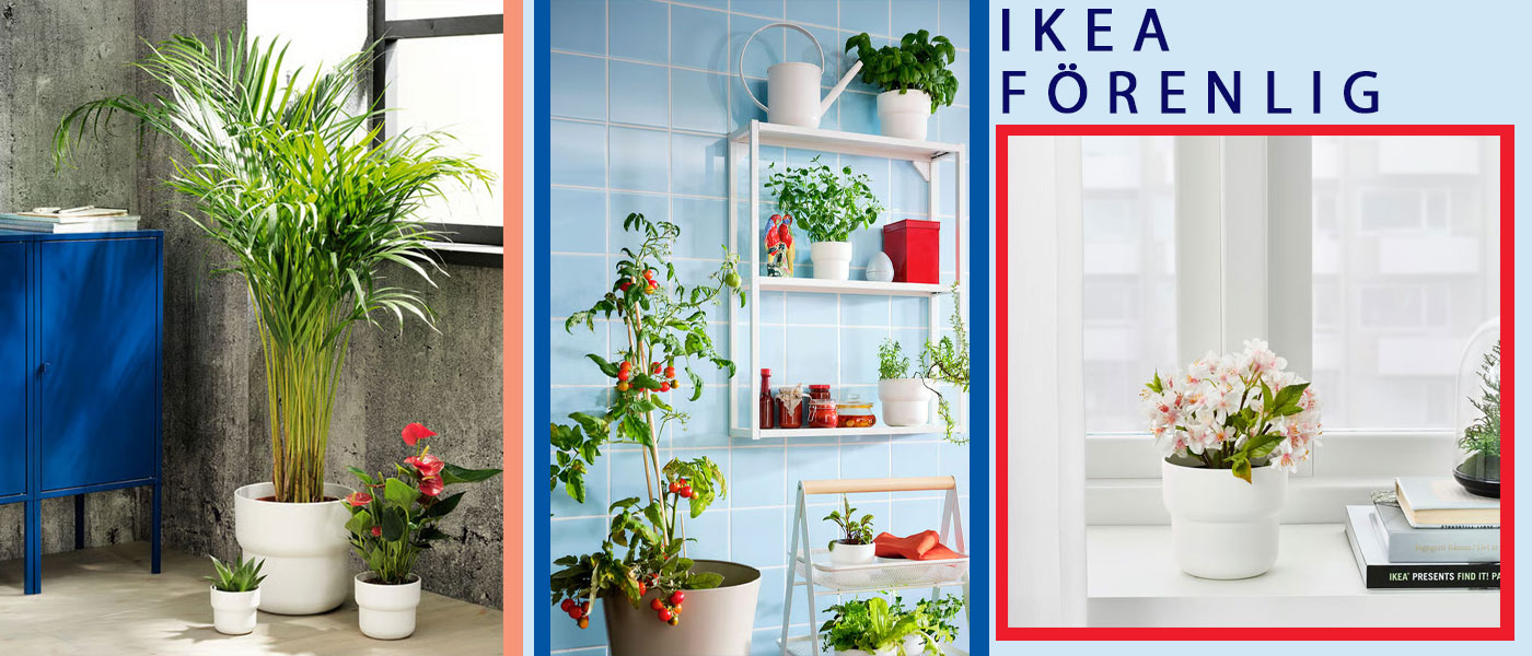 گلدان ایکیا مدل IKEA FORENLIG