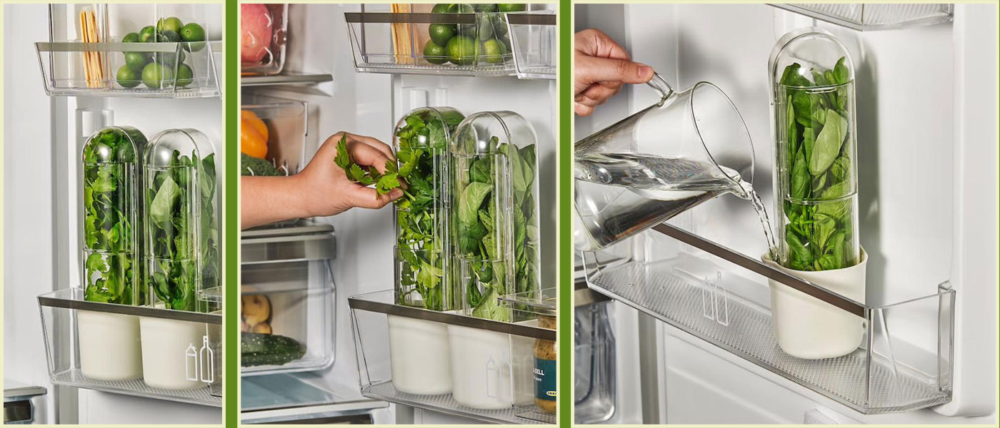 ظرف نگهدارنده سبزیجات ایکیا مدل IKEA KLIPPKAKTUS