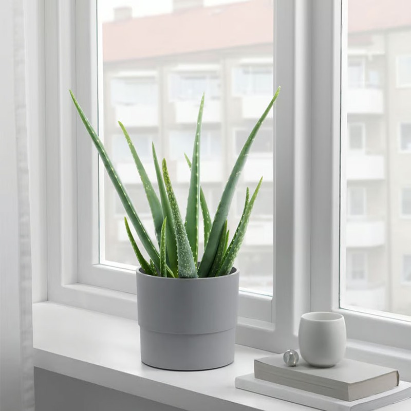 گلدان ایکیا مدل IKEA NYPON