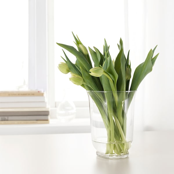 گلدان شیشه ای ایکیا مدل IKEA POMO