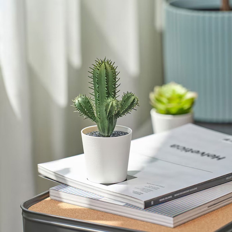 گیاه مصنوعی کاکتوس ایکیا مدل IKEA FEJKA