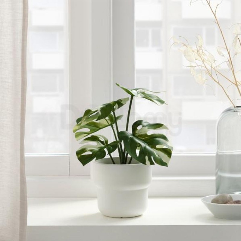 گیاه مصنوعی برگ انجیری ابلق ایکیا مدل IKEA FEJKA